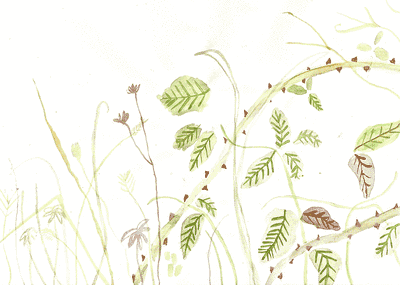 Animated gif of light green leafs blowing in a beige background
