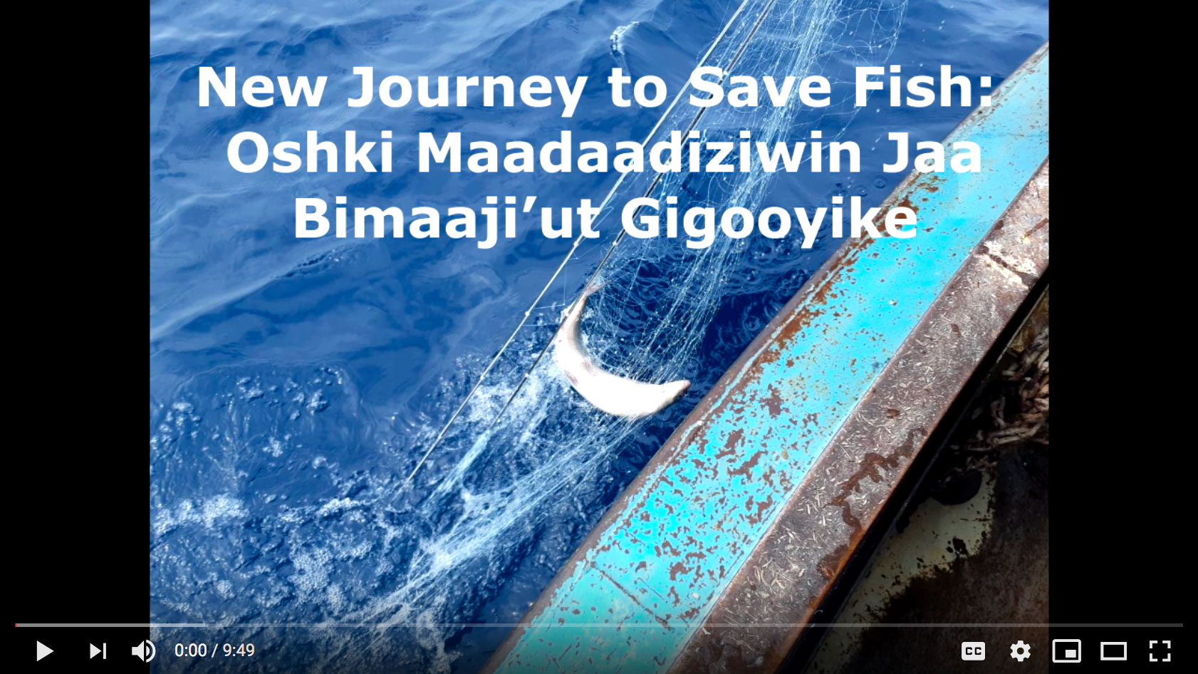 New Journey to Save Fish